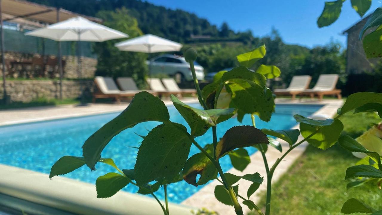 La Joannassiene, Maison Ardechoise De Caractere Luaran gambar